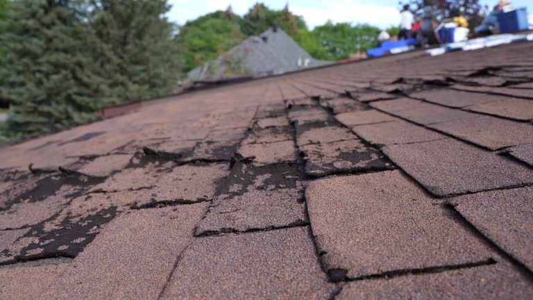 Roof Coating Services in Cleveland, TN